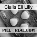 Cialis Eli Lilly 13